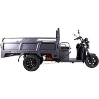 Грузовой электроскутер Rutrike D4 1800 60V 1200W (серый)