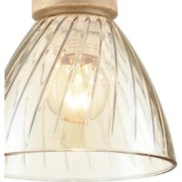 Подвесная люстра Lumion Mirabela 8051/1А