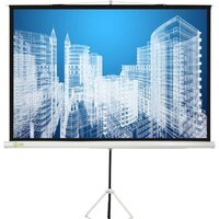 Проекционный экран CACTUS Triscreen CS-PST-124x221