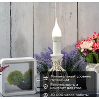 Светодиодная лампочка Rexant Свеча на ветру (CW) 7,5Вт E14 713Лм 2700K теплый свет 604-045