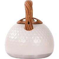 Чайник со свистком Willmark WTK-4122SS 2001459
