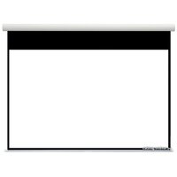 Проекционный экран Future Vision Polaris Cinema BT 273x183 PE270HMW