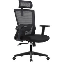 Офисное кресло Evolution ErgoLine 1 (черный)