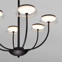 Подвесная люстра Евросвет 50388 LED (черный)