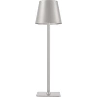 Настольная лампа F-Promo Pyari 4617-1T