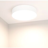 Светильник-тарелка Arlight SP-RONDO-R250-30W 022232(2)