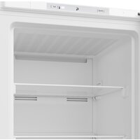 Морозильник BEKO B1RFNK312W