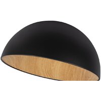 Люстра средней высоты LOFT IT Egg 10197/500