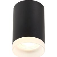 Припотолочная люстра ST Luce ST100.402.01