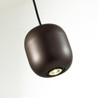 Подвесная люстра Odeon Light Cocoon 5060/1DA