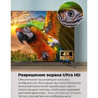 Телевизор MAUNFELD MLT55USX02
