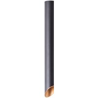 Светильник Arte Lamp Pilon-Gold A1537PL-1BK