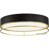 Припотолочная люстра Sonex Lofty 7723/100L