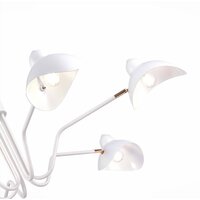 Подвесная люстра ST Luce SL1801.513.06