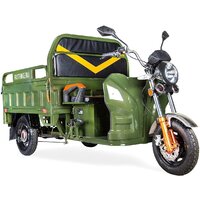 Грузовой электроскутер Rutrike Дукат 1500 60V 1000W (зеленый)