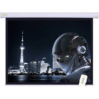 Проекционный экран CACTUS Motoscreen CS-PSM-124x221