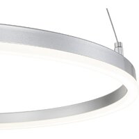 Подвесная люстра Escada Void 10254/1LED (Silver APP)