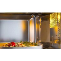 Микроволновая печь Gorenje BM251SG2WG