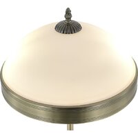 Настольная лампа Myfar Biene MR2522-2T