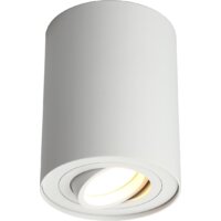 Спот Omnilux OML-101009-01