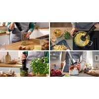 Погружной блендер Bosch MSM4B623