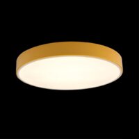 Светильник-тарелка LOFT IT Axel 10002/24 Yellow