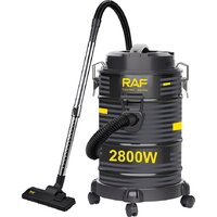 Пылесос RAF R.8716