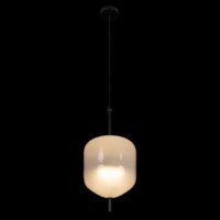 Подвесная люстра LOFT IT Venice 10223/D White