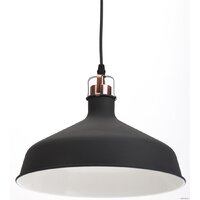 Подвесная люстра ЭРА PL2 BK/RC Б0037413