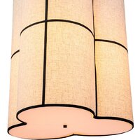 Подвесная люстра Indigo Light Triade V000351