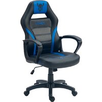 Игровое (геймерское) кресло FLOKY Vibe Blue-Black