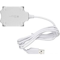 USB-хаб Buro BU-HUB4-0.5-U2.0-Candy