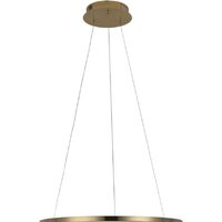 Подвесная люстра LOFT IT Ring 10014M