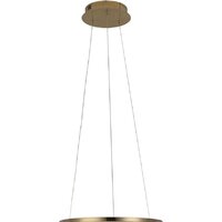 Подвесная люстра LOFT IT Ring 10014S