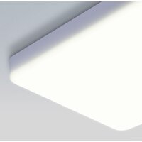 Светильник-тарелка Elektrostandard DLS043 10W 4200K (белый)