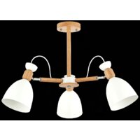 Люстра средней высоты Evoluce Balcamo SLE103802-03