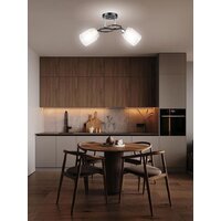 Припотолочная люстра Aitin Pro НПБ 02-2x60-101 K2246/2 (черный/хром)