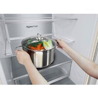 Холодильник LG DoorCooling+ GC-B509AEPW