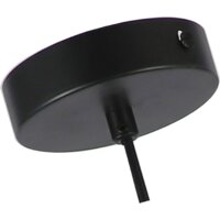 Подвесная люстра F-Promo 2787-1P