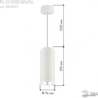 Точечный светильник ЭРА PL12 GX53 WH/SL Б0048543