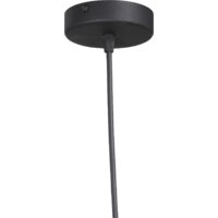 Подвесная люстра Vitaluce V2946-1/1S
