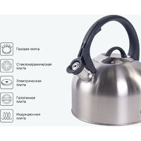 Чайник со свистком Attribute Tradition AKT003