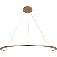 Подвесная люстра LOFT IT Ring 10014XL
