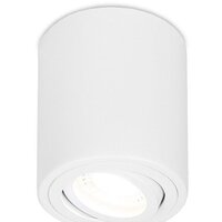 Спот Ambrella light TN225 WH