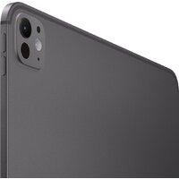 Планшет Apple iPad Pro 13" 2024 256GB (черный космос)