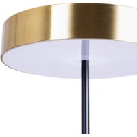 Настольная лампа Arte Lamp Elnath A5038LT-3PB