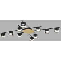 Припотолочная люстра Lumion Benua 8304/10C