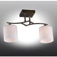 Люстра средней высоты Omnilux OML-55317-02