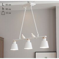 Подвесная люстра Home Light A070-2