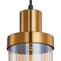 Подвесная люстра F-Promo 4362-1P